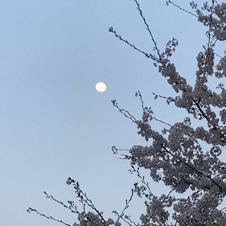 4d81425c 21af 475d aac7 46dfb0ac9d74 1522321301068