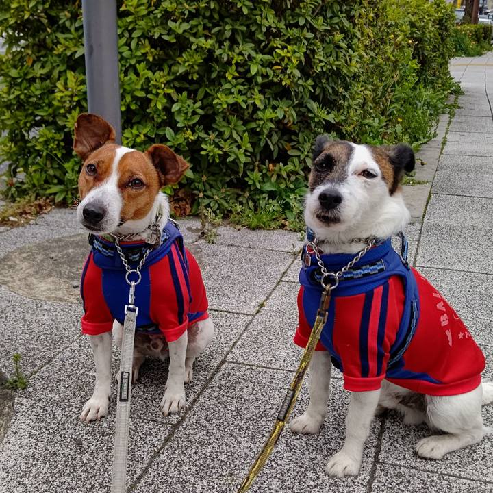 4d8143f1 abe6 4932 ab37 079ab514dc06 1616886932922