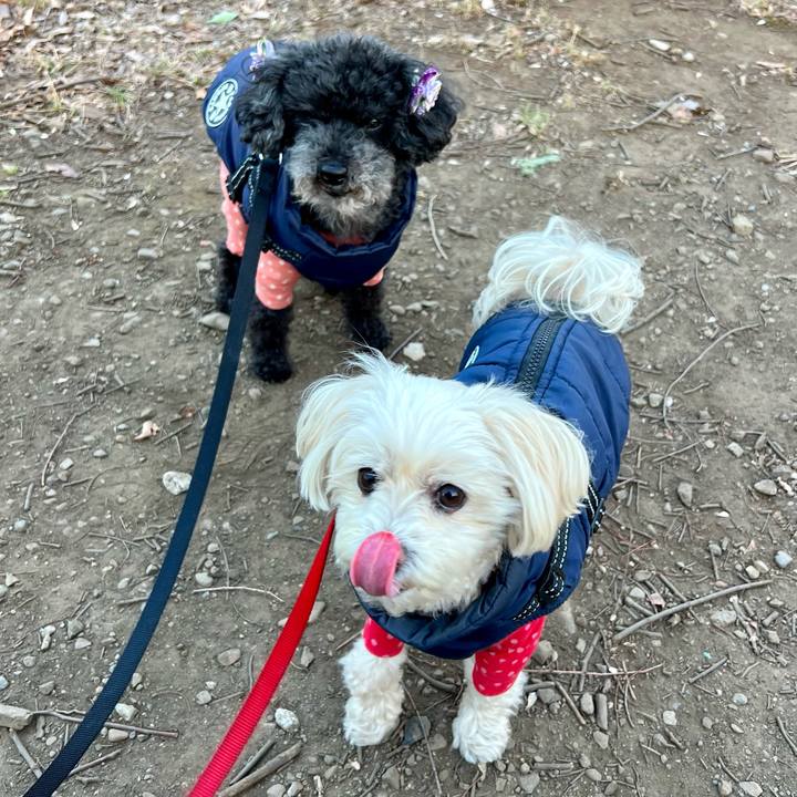 4d814a65 ebdb 440b 8c68 bd29c0cba24b 1768983874096