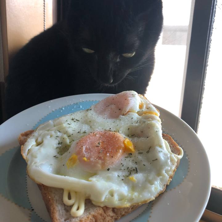 4d81781d 5a43 48c0 9249 7ee239503a79 1557960081144