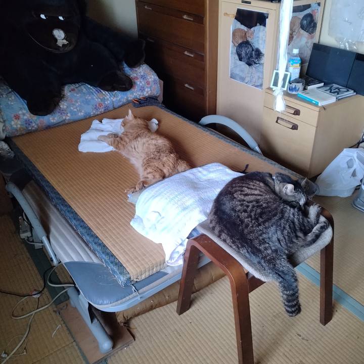 4d8182f3 e937 4ecc 8dad d14e8042cb22 1750306974054