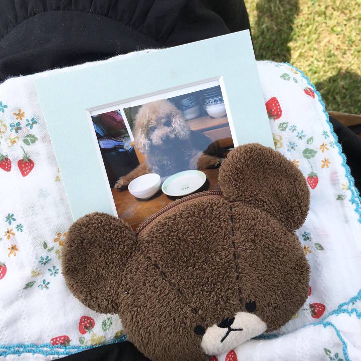 4d8192db c05f 46e0 9cb1 d309bc8c78d6 1559995145962