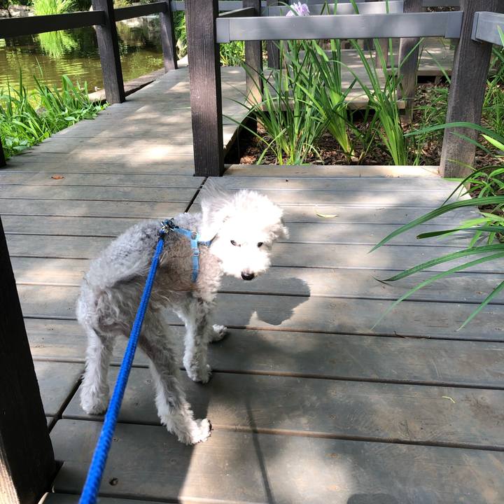 4d819335 e552 4fb3 a2bc 4f83bec46466 1624493920543