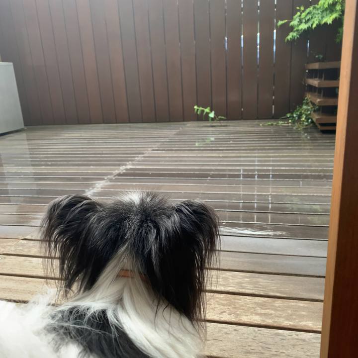 4d81994c f1a0 4369 a295 695743e71ecd 1586748695412