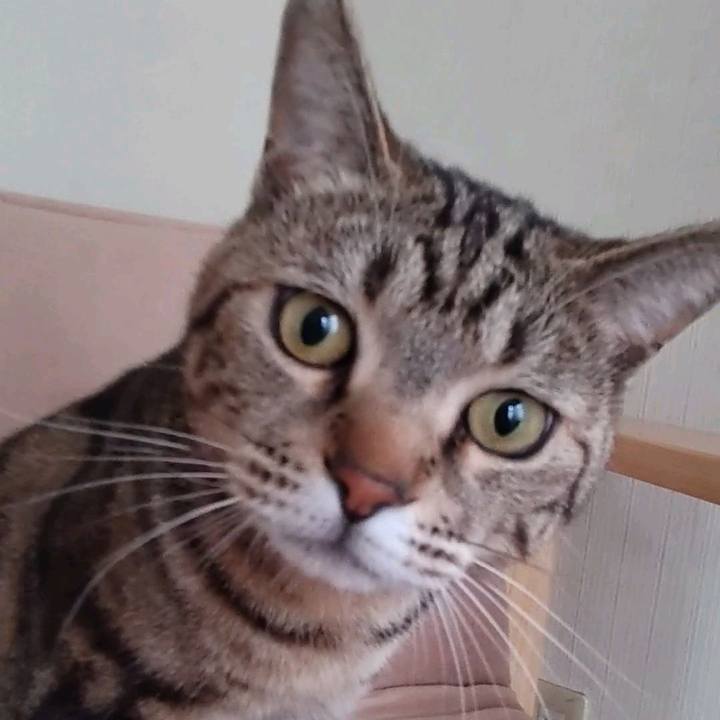 4d81bc36 347a 4ebb bba7 3f7a86770712 1708678914607