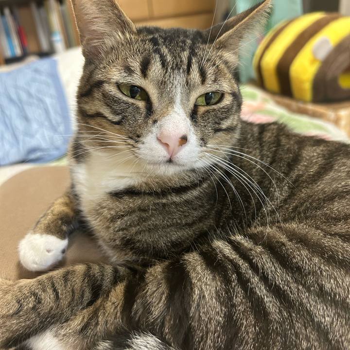 4d81e971 bbfc 4b9d 935e 5f5d100b2e17 1772023786421