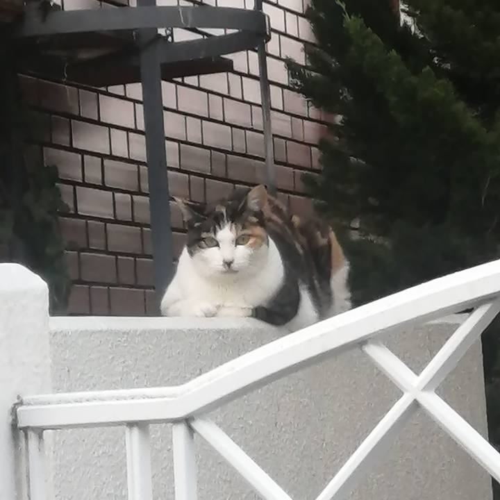 4d81f290 77a1 48a3 882a 84e541723b2b 1623318301244