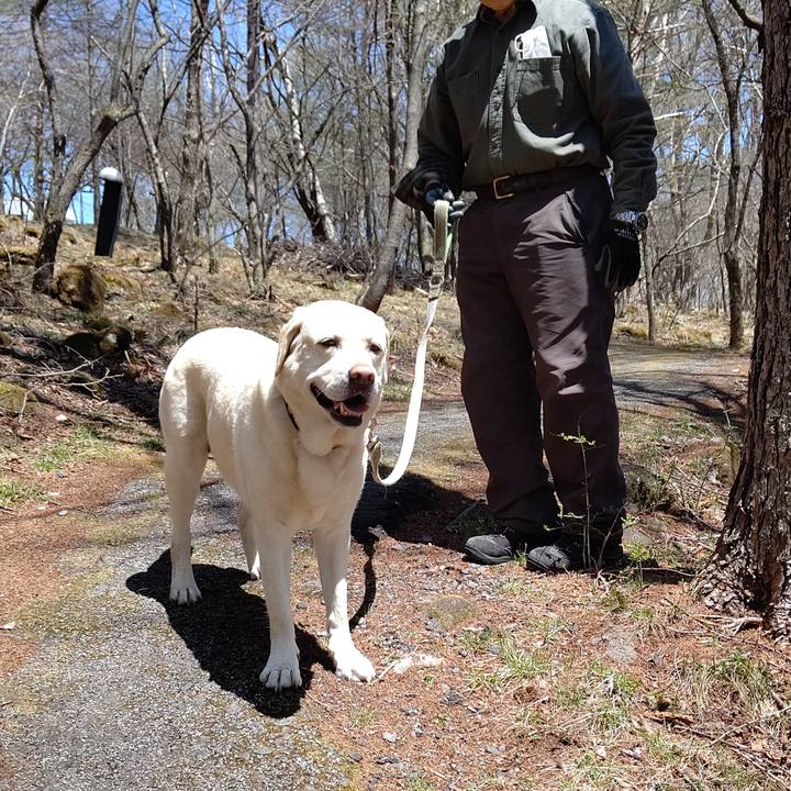 4d81fc23 7424 4898 9954 7632bc823913 1651552181071