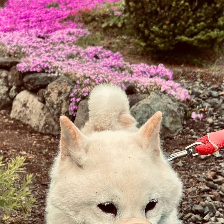 4d8210b0 bf23 43cf acf5 0deebf605951 1749070612908