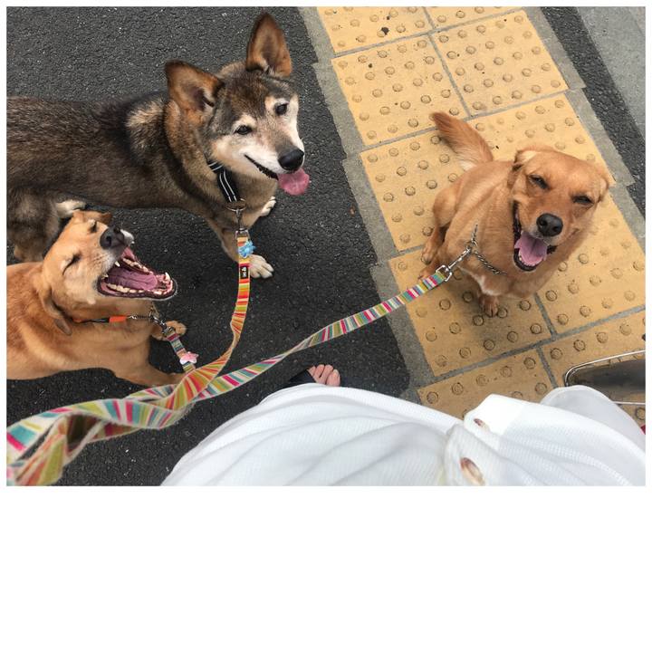 4d82364d d605 4380 88b5 ca9a6499633e 1559701250646