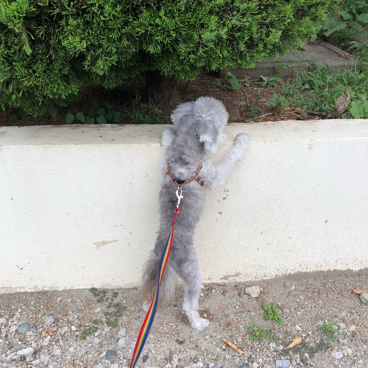 4d82766a aa9b 4a87 968b 28014737f6f7 1567646406755