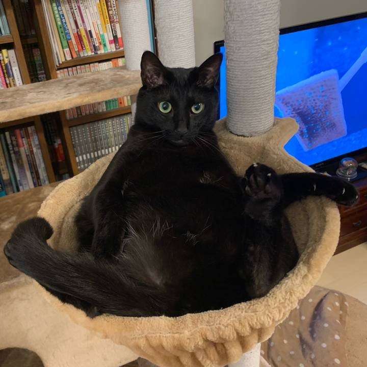 4d829e08 9746 4645 a88e 96f76c6e1b64 1646320510170