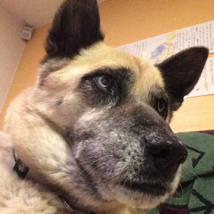 4d831383 3703 4760 90e9 d3d6f702438b 1515822047438