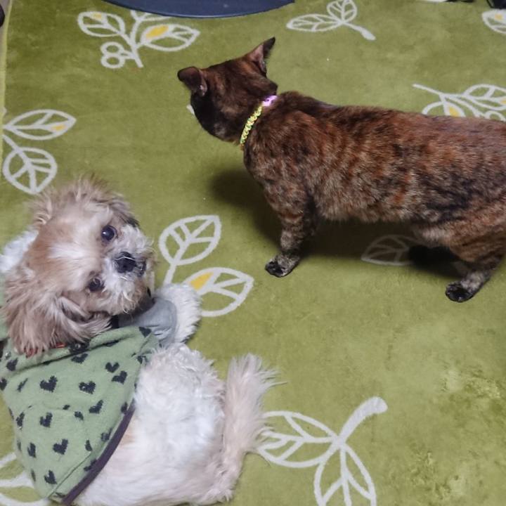 4d833e7c d3ab 4c47 8f57 738c53a1adb9 1640078788814