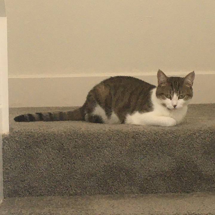 4d83602d 82ab 4559 b888 f5803f06a012 1659485371654