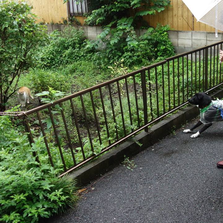 4d8388b0 06be 4b28 9301 d1aadce97745 1594682222452