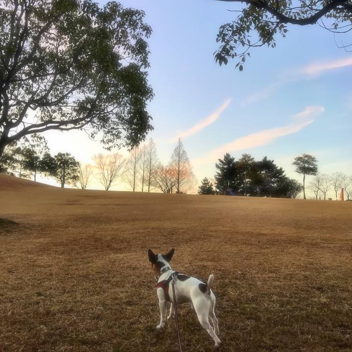 4d83acb5 cc13 4756 b9d6 139cc37b281e 1515093575218