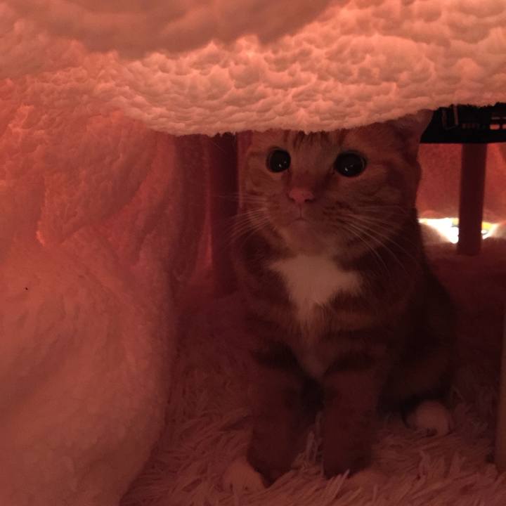 4d83aec4 e17b 46ca 9a74 f2ad10a61376 1542638268958