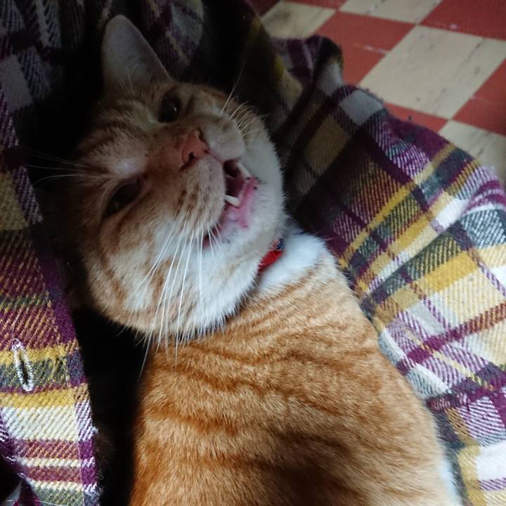 4d842621 aa2d 4951 81ea b359338d1267 1577665378782