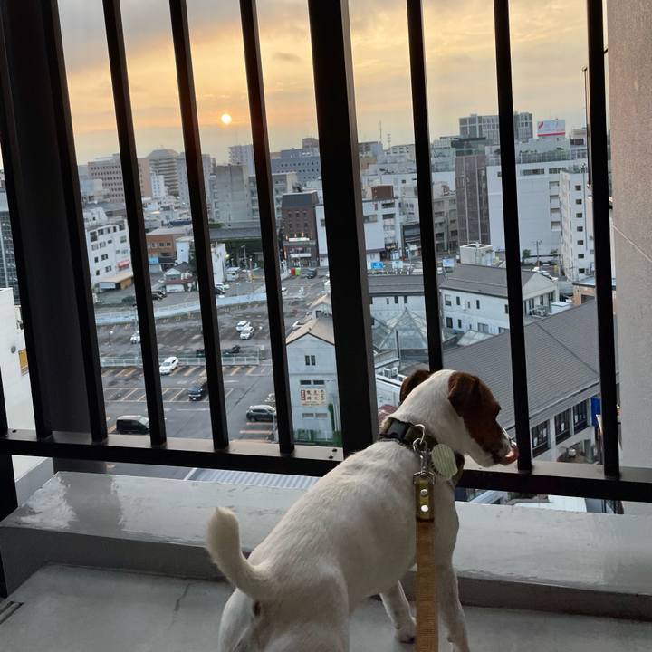 4d842fdd 070a 413b a894 42e8c98533c0 1692585824141