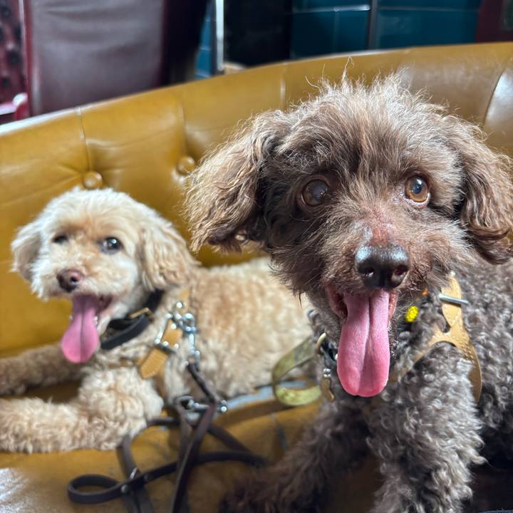 4d8445de 3fee 4a19 9ec8 b4f6c071b14f 1752581301746