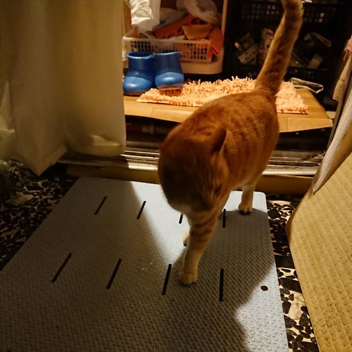 4d847395 4f98 459d b700 0e6fc6e368b8 1579511688965