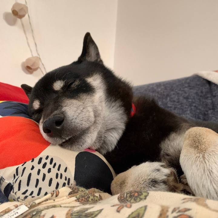 4d84ab2c 2632 4298 8bf0 fdab8b8d89d8 1640529347025