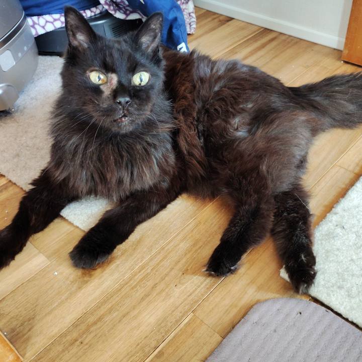 4d84ae9b d5a3 4df2 937d 3275bb71ba42 1776561648015