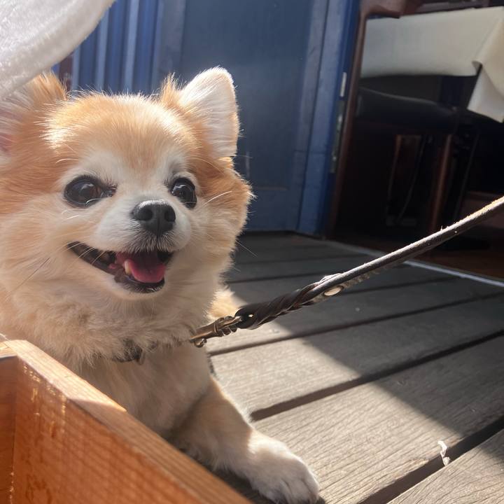 4d84d317 d2a4 406d a5a4 09ea98cad851 1772271713549