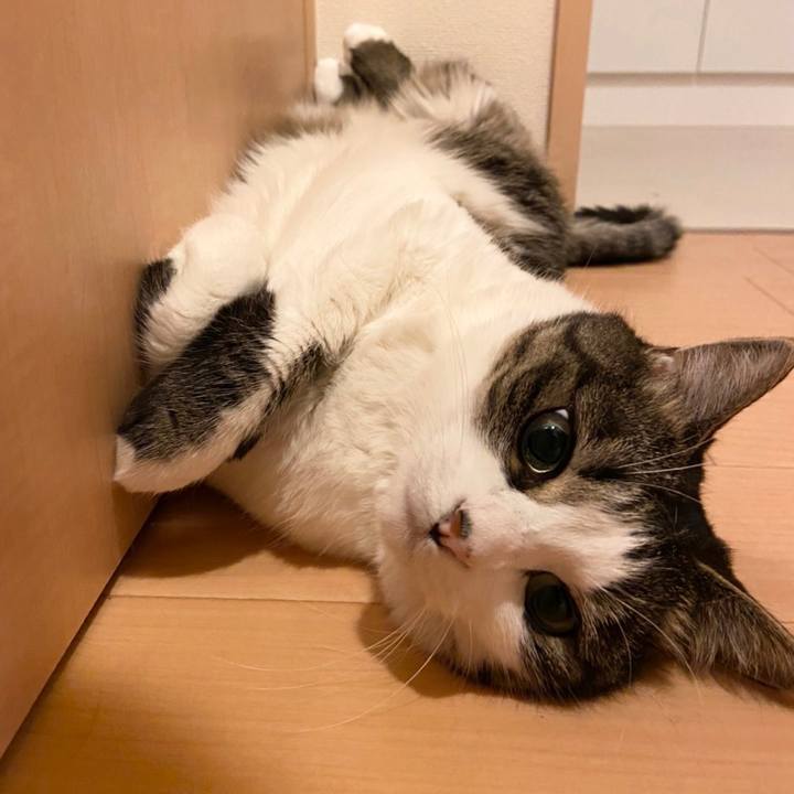 4d84d901 576f 4859 a671 04dca6029cc7 1656942176864