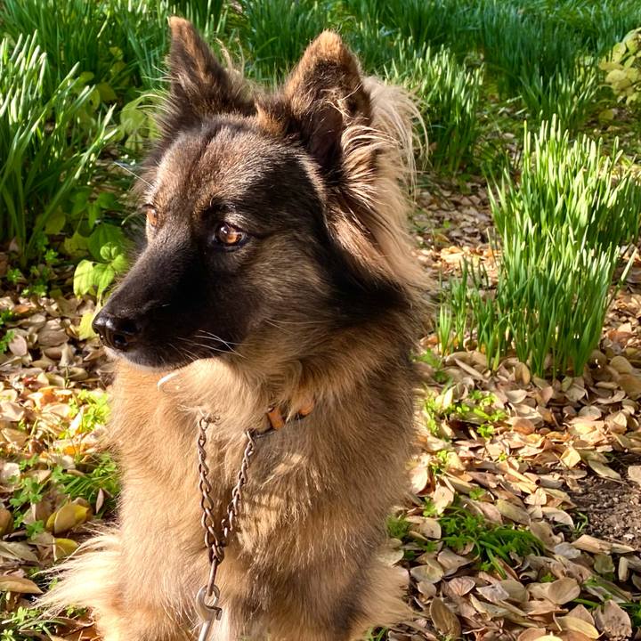 4d84df07 4a65 4861 86e0 e281ed29c504 1764657705997