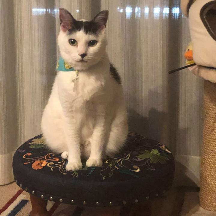 4d851c69 c827 417e b1dd 13154cacac65 1535121469118