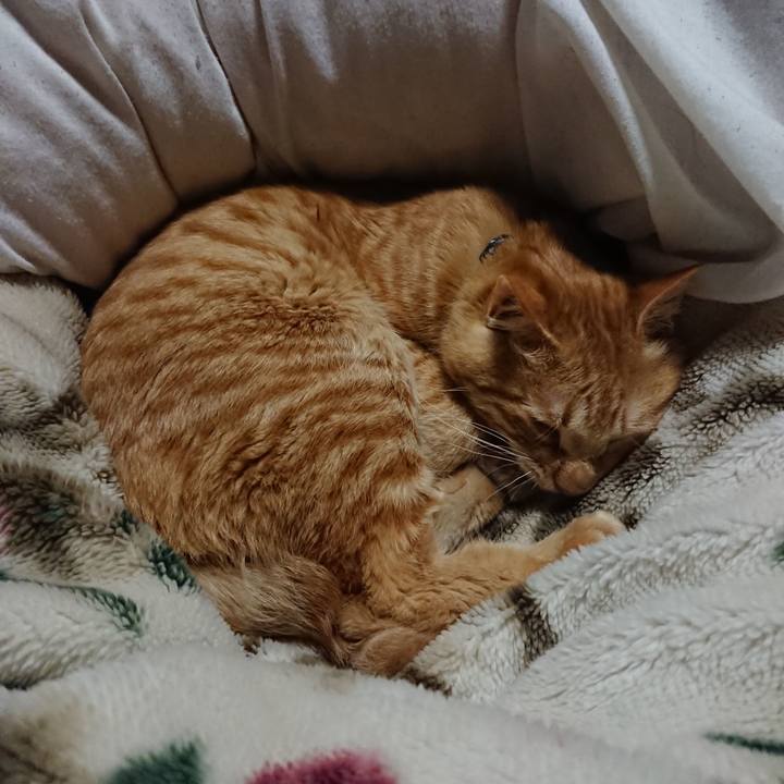 4d8595ad 0976 49be 9075 f8726bcf9e99 1643116047582