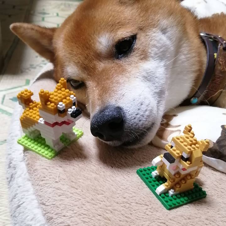 4d85b36f d02c 4cfd ad2c cc99d432f58d 1623235074685