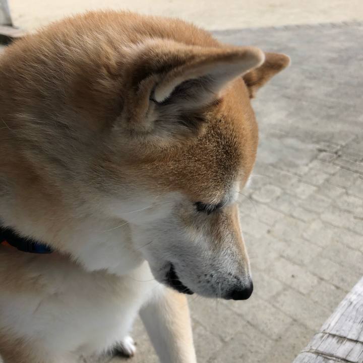 4d85c765 46f8 4de4 bce6 4269d0fb4b1d 1601948994269