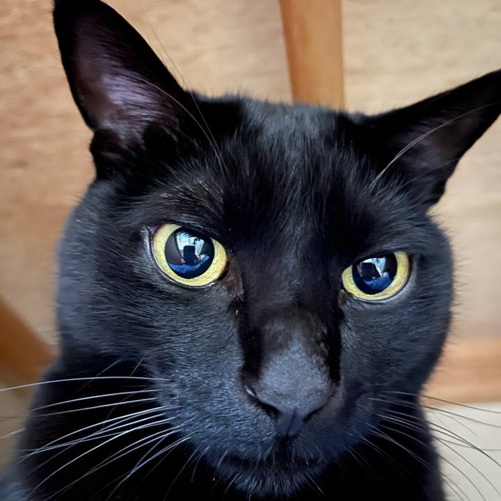 4d85dbcd 5352 41db be83 714c7ec280ae 1675726603592