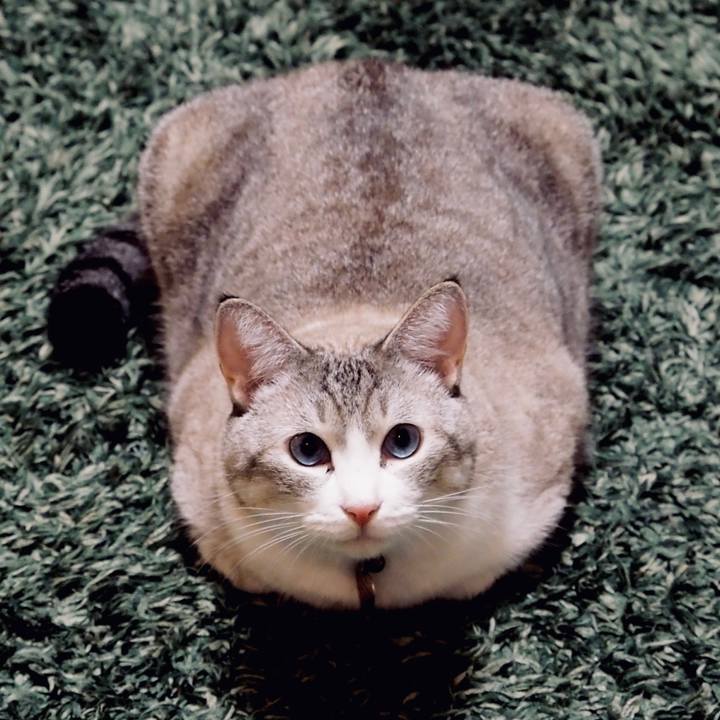 4d85ef8f bf3b 4d94 9574 e977c5b4b15b 1601956216637