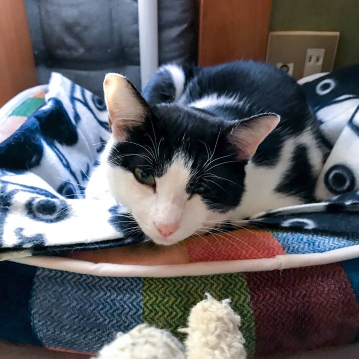 4d8603b1 3b4f 4251 884a 0ed1f0b0d626 1509981381633