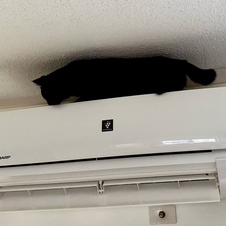 4d86094e 43d1 4bc9 a054 3d9a19209a13 1734567150775