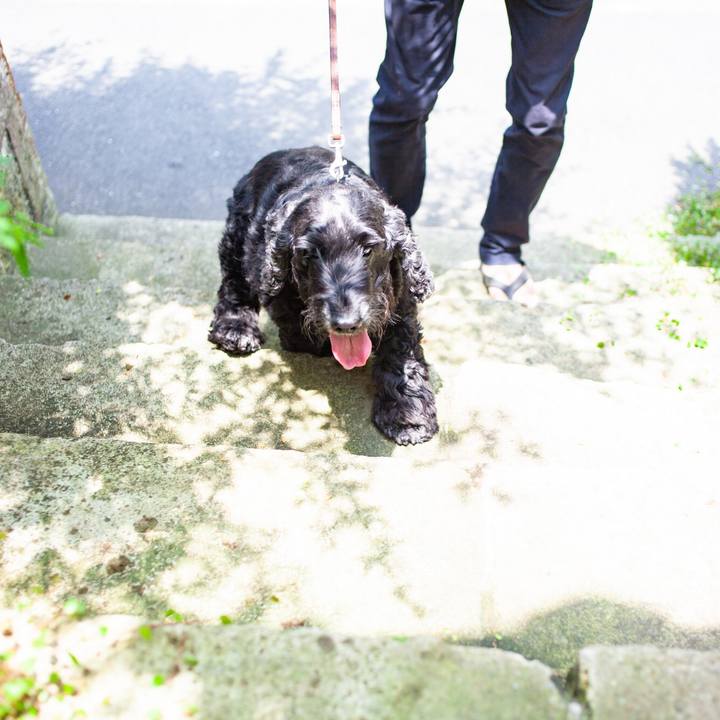 4d862e2f d911 45a0 98a1 b2f9751e6c46 1591406056344