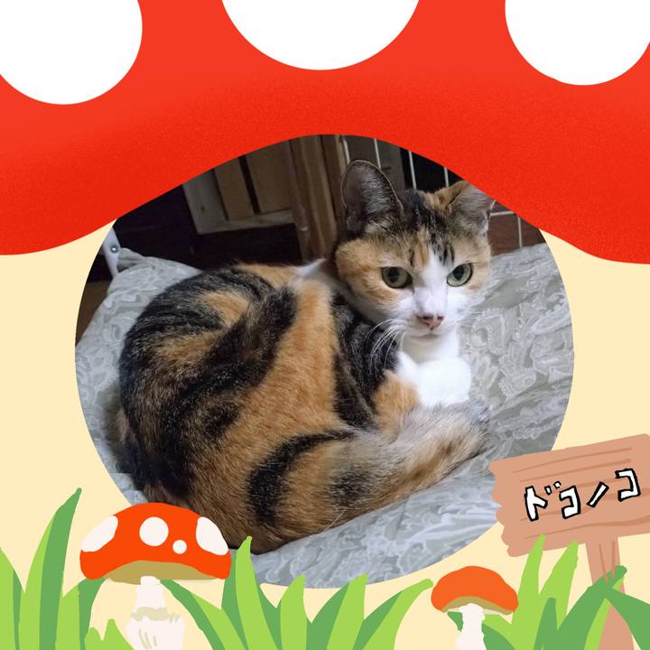 4d864c59 c4f7 4999 a5a1 9df1de77eb47 1729075414175