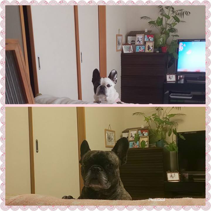 4d8652d0 ba9f 4704 84ca 68312efcb99e 1681172094381