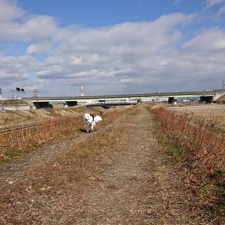 4d8661cf 20ed 4ab3 94d9 25cc5fb98a18 1517978098006