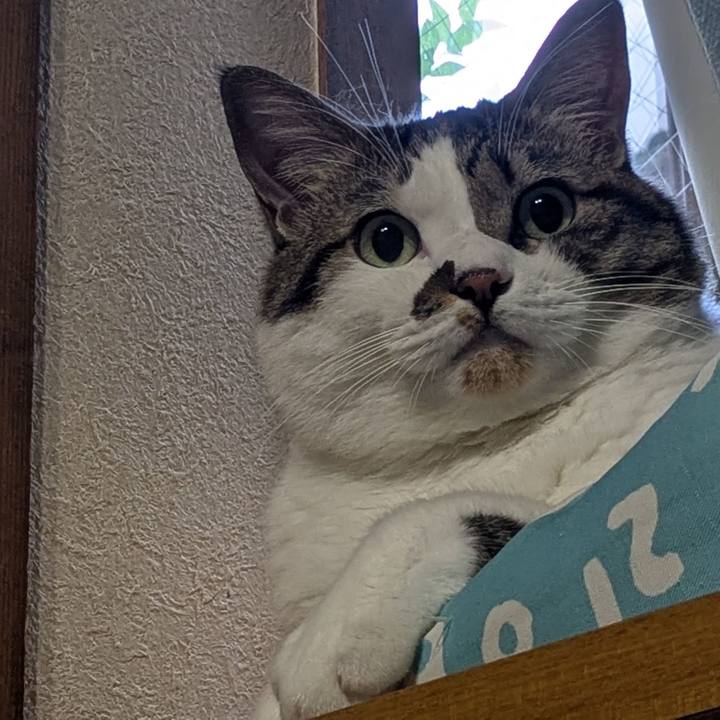 4d869d83 5d8c 499a ac29 7182241080f4 1758575998153