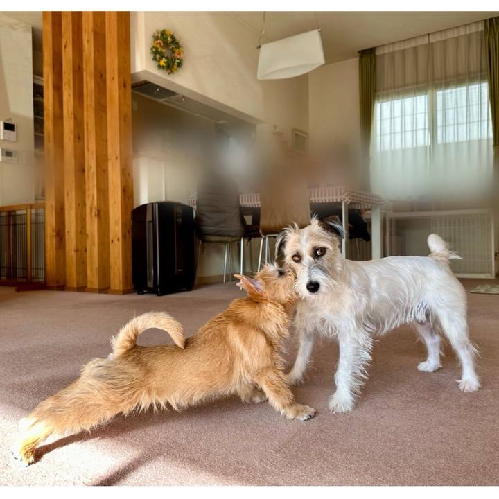 4d86ced0 38e8 404f b30c 61ec5a78dee8 1705975285427