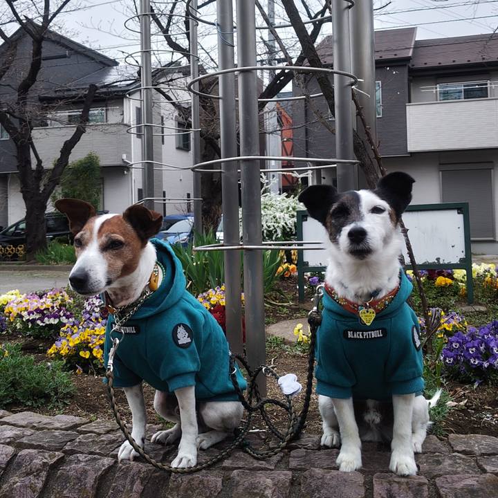 4d86e0e9 97d6 4d06 a9cc 601f9d8cc2e8 1774218419777