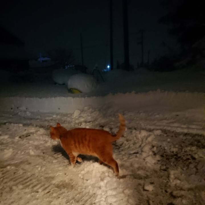 4d86fbf2 8108 4b59 806f cc98bb7db493 1608064694454