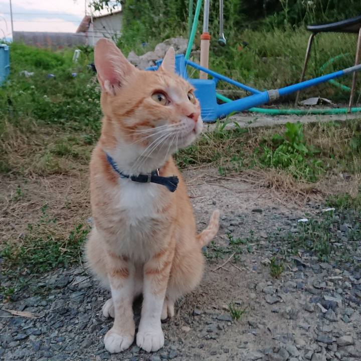 4d871f83 33b0 49ef 8dad 84fbca393c7c 1561466098405