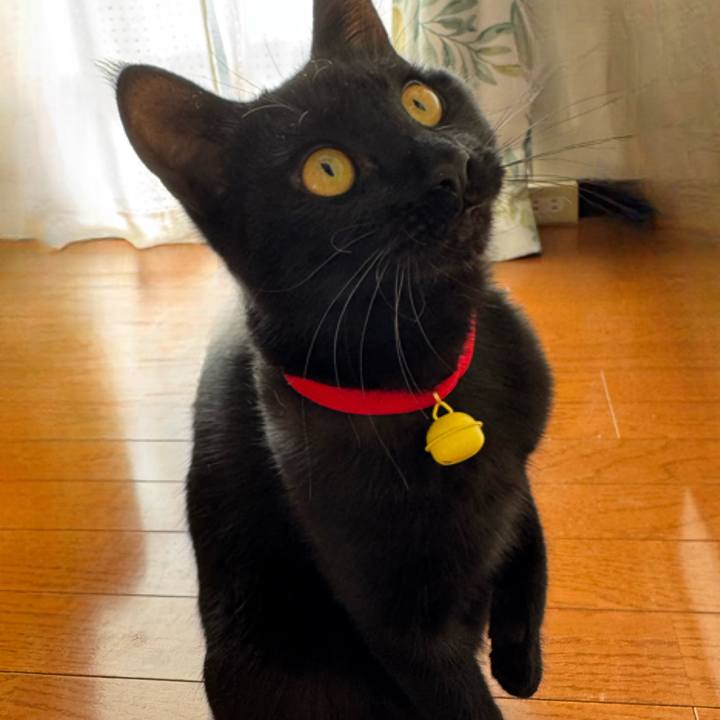 4d873de9 3716 4562 8d71 748a3715f1c9 1736052016875