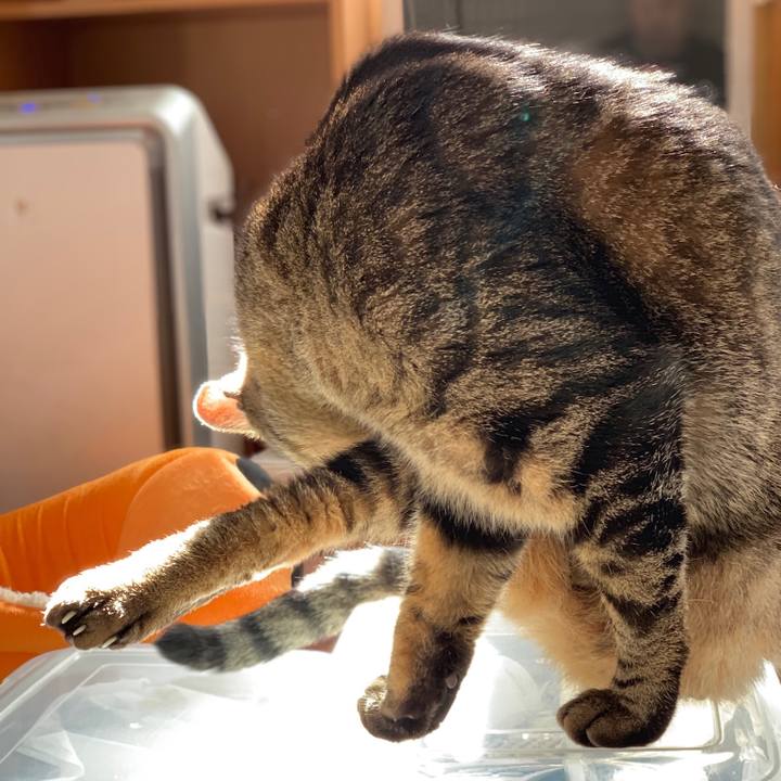 4d874006 92ae 431e a14f 9b3e76b60a13 1542589899726